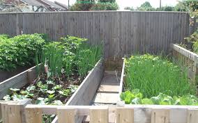 The Vegetable Garden In June Piedmont