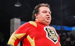 José alvarado nieves, best known for his ring name super porky, was part of the renowned alvarado wrestling family. S8ninq3mkzbocm