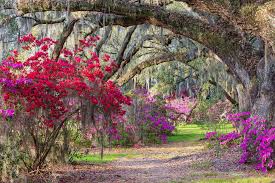 Check spelling or type a new query. The World S Most Beautiful Gardens Loveexploring Com