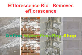 What Causes Efflorescence How Do You