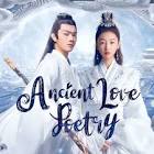 Mystery Series from China Wei xian de mi yue lu xing Movie