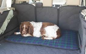 Travel Dog Beds For The Car And Home