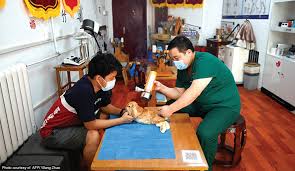 pet turn to acupuncture to treat