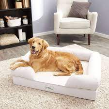 the 11 best orthopedic dog beds of 2023