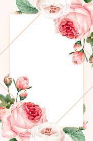 rose frame vectors ilrations for