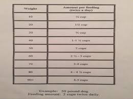 Rottweiler Dog Food Chart Really Handy Dog Feeding Chart