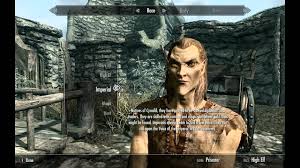 best race for a mage in skyrim you