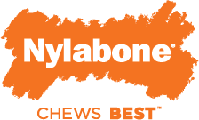 How To Choose The Best Chew Toy For Your Dog Nylabone