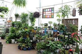 Plant Nurseries Gardening In St Louis