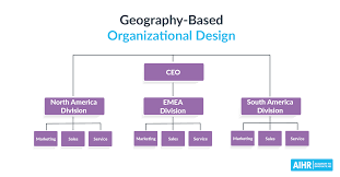organizational design and structures