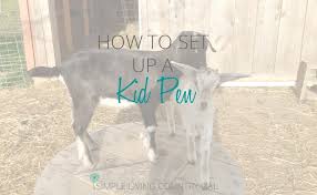 how to set up a diy goat kid pen