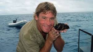 Eyewitness to a brutal and bloody butchering of stingrays, sliced and mutilated, then chopped to edible pieces by fisherfolks. Video Cameraman Shares Steve Irwin S Final Moments In Emotional Interview Closer