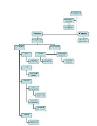 Complete Auditory Pathway Flowchart Ear Work Auditory