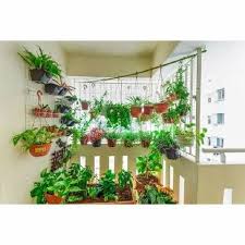terrace gardening service at rs 3000 00