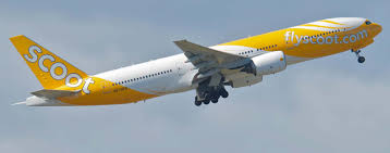 scoot airline review one of the best