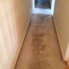 carpet cleaning owensboro ky best