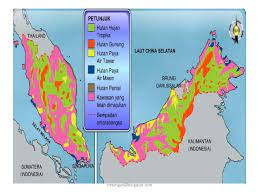 Di malaysia sebagai contoh, perkembangan pesat sektor pelancong amat dibantu oleh khazanah kepelbagaian biologi hutannya. Geo Ting 1 Jenis Dan Taburan Tumbuhan Di Malaysia