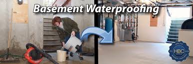 Wet Basement Repair