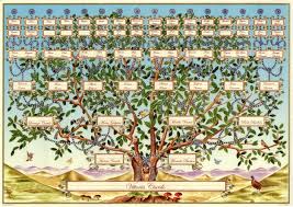 Un albero genealogico è qualcosa di cui spesso si sente parlare, ma che ben pochi conoscono. Gli Esseri Umani Sono Piu Strettamente Imparentati Di Quanto Pensiamo Comunemente Reccom Magazine