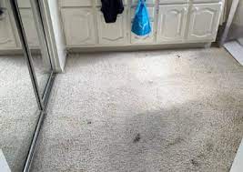 quality carpet cleaning in menifee ca