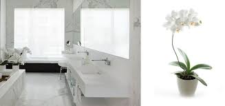 Carrara, a timeless marble, lends grace and strength to a wide variety of styles in. What Countertop Looks Good With Carrara Marble Bathrooms