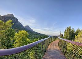 kirstenbosch reopens but solely for the