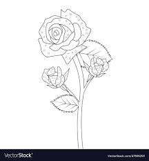 rose flower clipart black and whit
