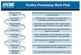 poultry processing flow chart hyde