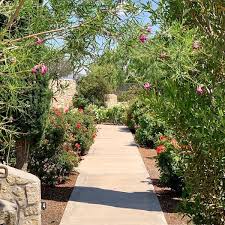 El Paso Rose Garden Garden