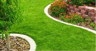 6 Best Lawn Edging Ideas Easy To