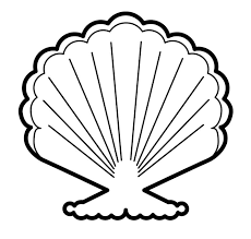 You can print or download them to color and offer them to your family and image description: Seashell 2 Coloring Page Free Printable Coloring Pages For Kids