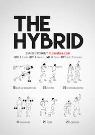 the hybrid workout