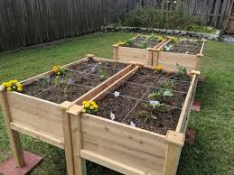 Vegetable Garden Ideas Forbes Home