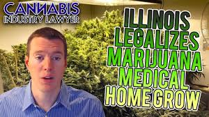 No matter where you live in illinois, our licensed physicians can certify you for a legal marijuana card online. Illinois Medical Marijuana Home Grow Youtube