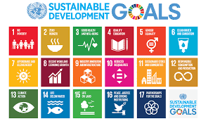 Un Sustainable Development Goals Lubrizol