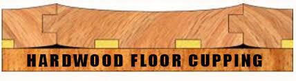 hardwood floor cupping crawle