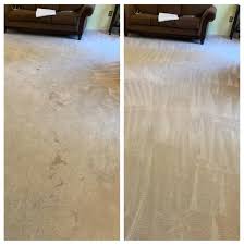 carpet cleaning ace cleaning