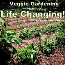 Vegetable Gardening Can Change Your
