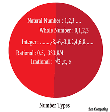 Sen Computing Number Types