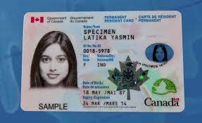 permanent resident card all you need