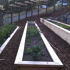 Raised Garden Bed On A Slope Photos