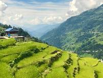 Discover Nepal