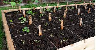 Grow Tomatoes In A Square Foot Garden