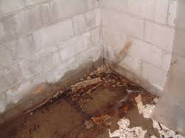 Warning Signs Of Basement Moisture And