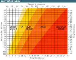 How To Calculate Bmi Are You Overweight Girl Look At