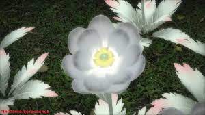 Elpis Flower - Light Replica | at Mighty Ape Australia