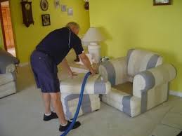 dolphin carpet cleaning