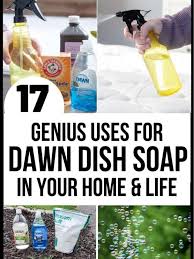 17 genius uses for dawn dish soap every