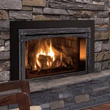 Fireplace Insert Stove Gas Log Set
