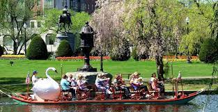 ride an iconic swan boat at the public